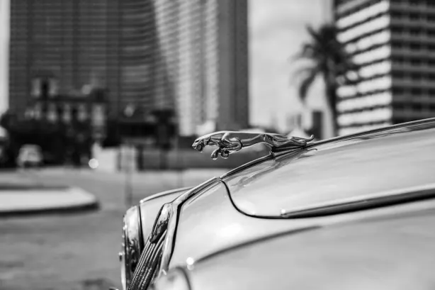 ベトベット カジノ Android/iOS アプリ